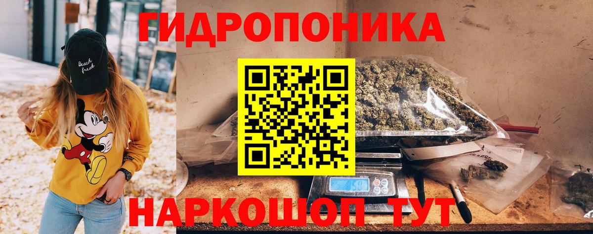 Каннабис семена Новый Уренгой